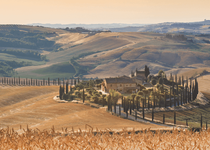 Savour the Flavors of Italy's Exquisite Wine Regions